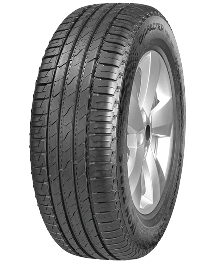 Ikon (Nokian Tyres) Character Aqua SUV (Nordman S2 SUV) 215/60 R17 96H