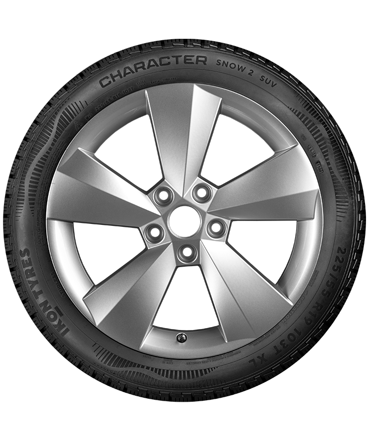 Ikon (Nokian Tyres) Character Snow 2 SUV 225/55 R19 103T (XL) заказать